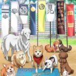 Ода Нобунага по Прозвищу Корица Постер